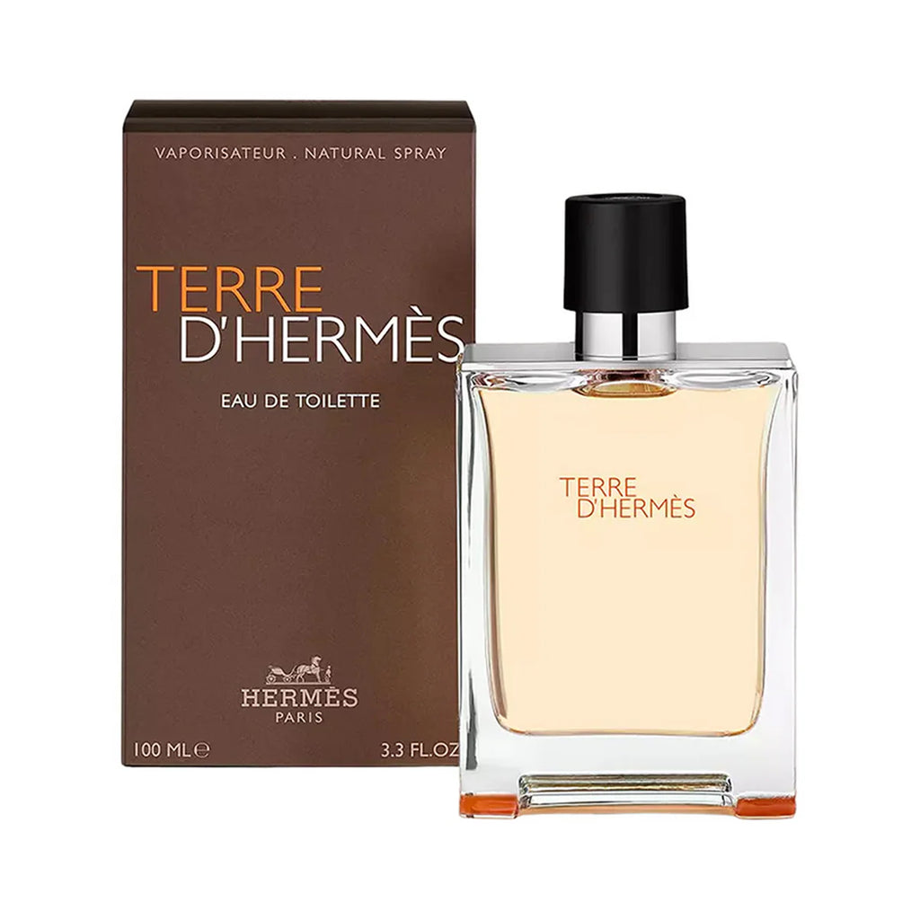 Terre d’Hermmès Eau de Toilette – 100ml (AURA VELVET)