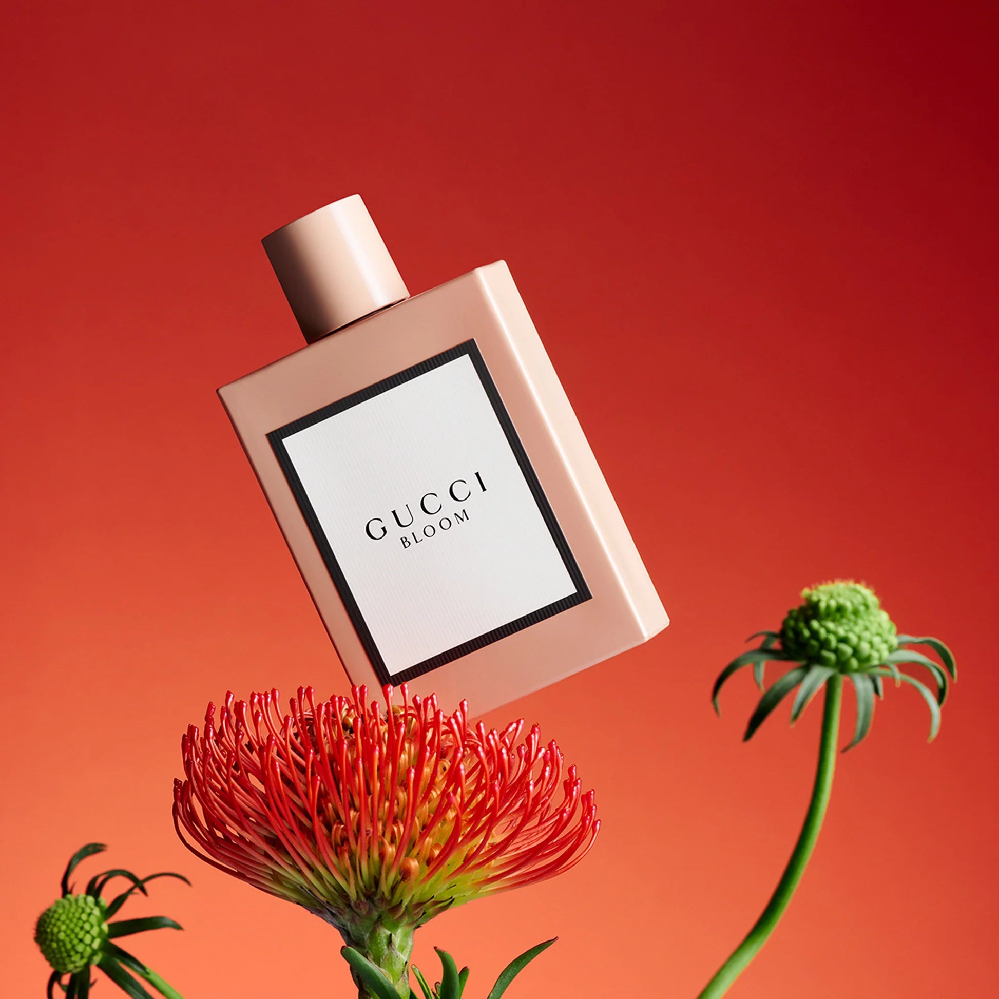 Gucciii Bloom | 100ml (AURA VELVET)