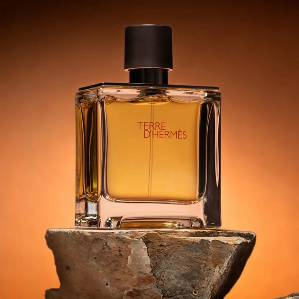 Terre d’Hermmès Eau de Toilette – 100ml (AURA VELVET)