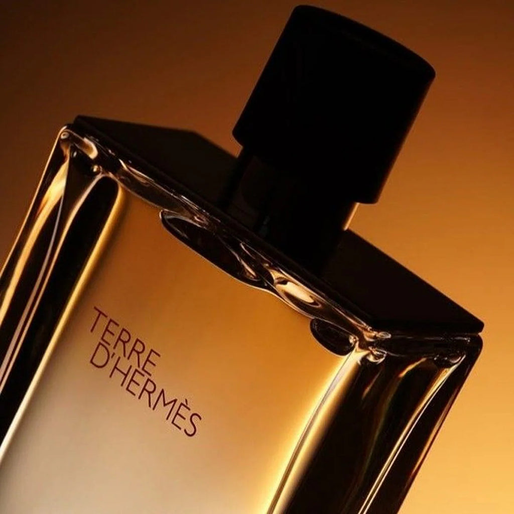 Terre d’Hermmès Eau de Toilette – 100ml (AURA VELVET)