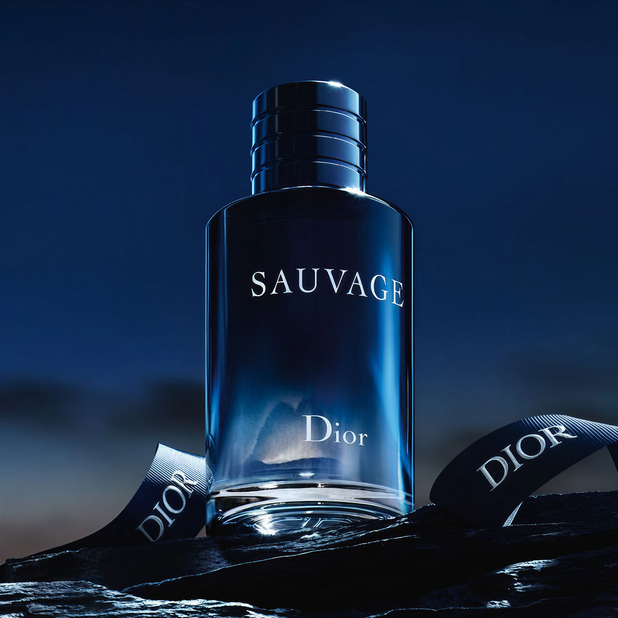 Diorr Sauvage Eau Forte | 100ml (Aura Velvet)