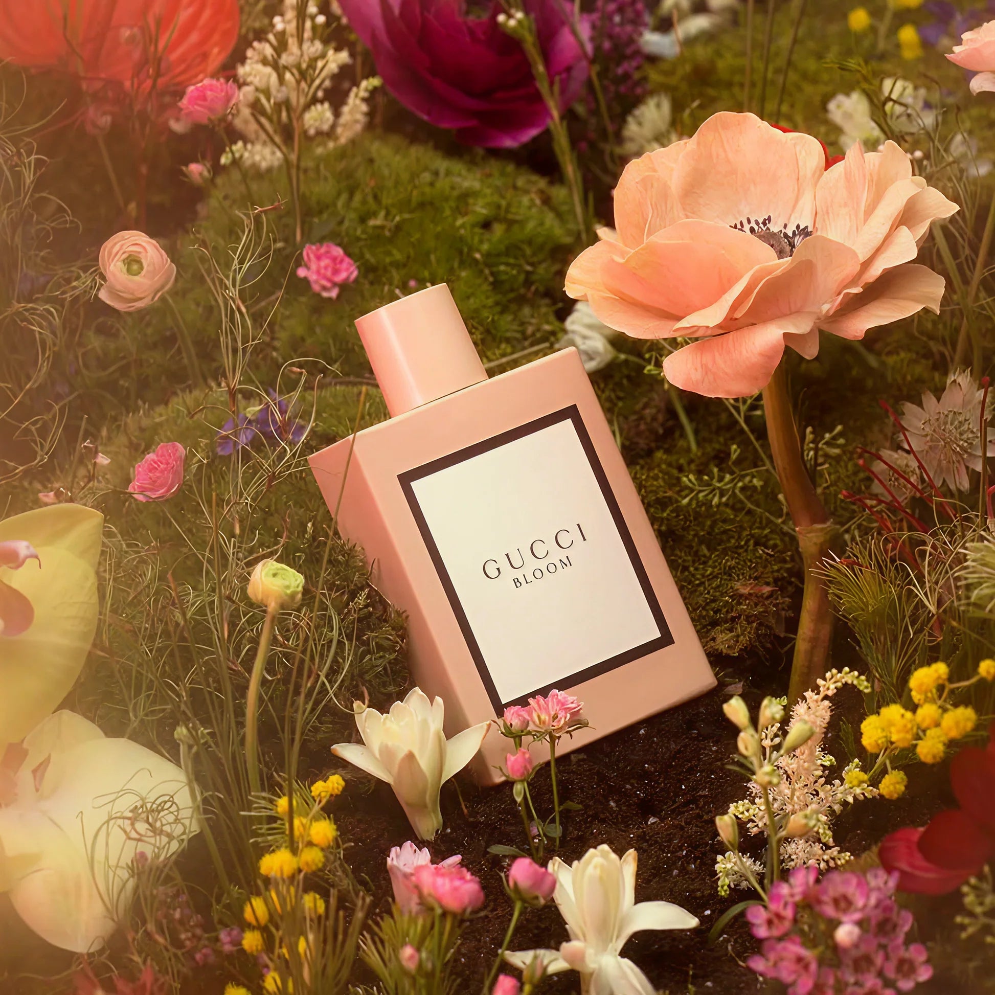 Gucciii Bloom | 100ml (AURA VELVET)